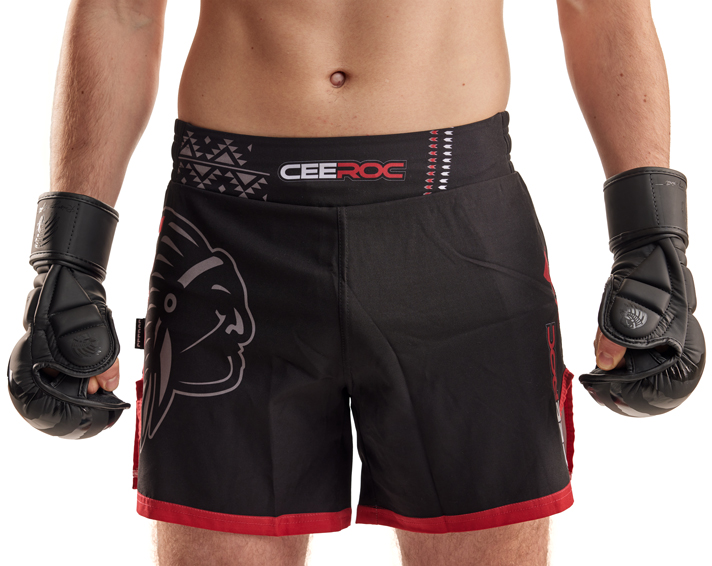 CEEROC Pro MMA Handschuhe Sparring Kenai